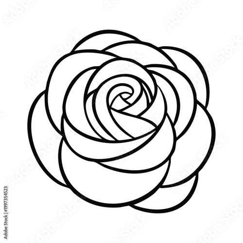 Rose Outline Artwork Blooming Floral Design Concept