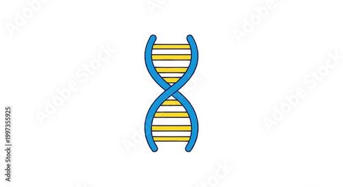 DNA Double Helix Structure Model 1.