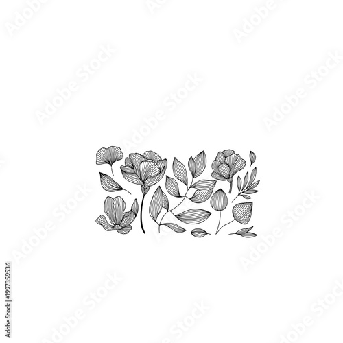 Botanical floral line-art elements collection, elegant hand-drawn leaves and flowers bundle