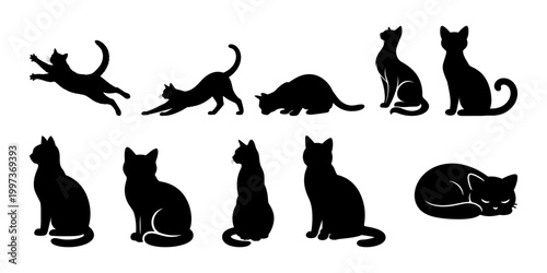 Domestic cat silhouette set, sitting jumping running sleeping poses, black feline vector