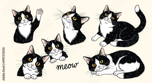 Whimsical sketch of five black and white cats in various poses