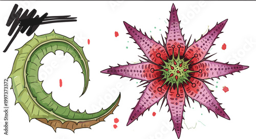 Fantasy alien plants set with spiky organic forms and strange botanical shapes illustrating sci fi flora, surreal nature design, and creative vector illustration