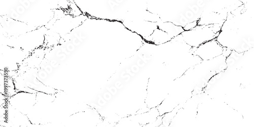 Abstract grunge black and white distressed texture , grunge texture, dry land crack effect, Vector the cracks concrete wall texture white and black.