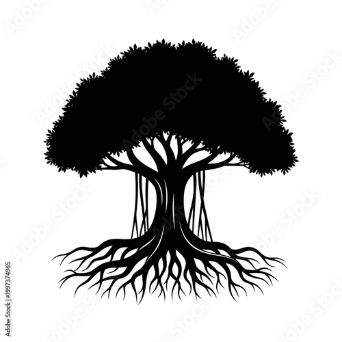 Silhouette of a majestic banyan tree with extensive roots and dense foliage.