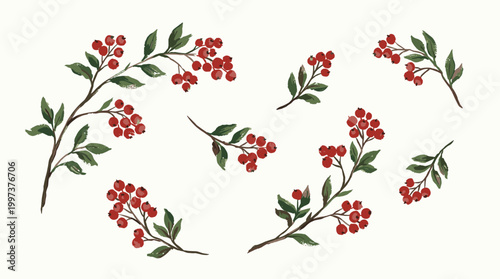 Watercolor illustration of delicate branches with vibrant red berries and green leaves on a soft off white background