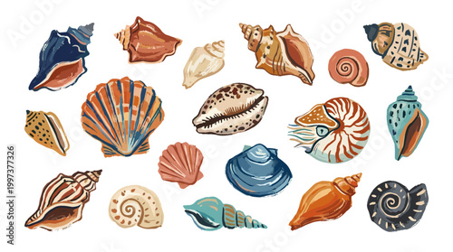 Collection of diverse seashells and marine life forms in various colors and textures, perfect for beach themes and ocean decor