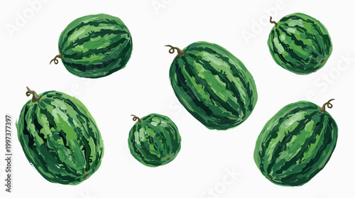 Assorted Watermelons Variety of Sizes and Shapes Fresh Ripe Green Fruits Isolated on White Background Healthy Food Concept