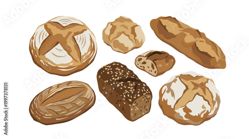 Assortment of freshly baked artisan breads including round loaves baguette and rye bread on a white background