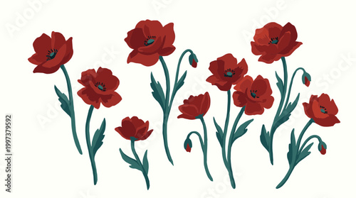 Vibrant red poppies bloom with delicate green stems and buds against a clean white background, evoking natural beauty and spring.