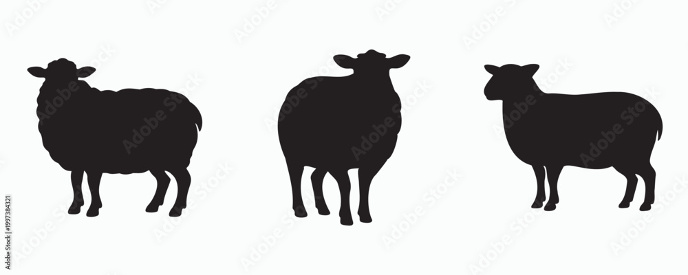 Obraz premium Black silhouettes of three sheep in different poses on a light background, minimalist farm animal icon set with clean flat shapes for agriculture, livestock, and rural themes.
