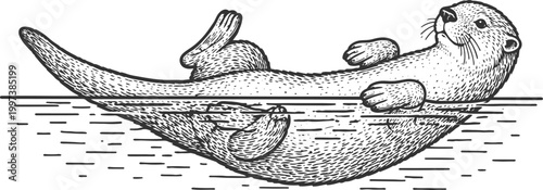 Floating Otter on Water Vintage Engraving Illustration