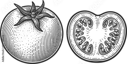 Tomato Whole and Half Vintage Engraving Vector Illustration