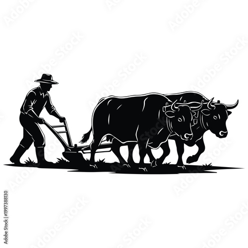 Traditional farmer silhouette plowing field with oxen for agriculture