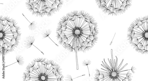 Seamless pattern of dandelion seed heads in black and white line art style for nature background and floral textile design.