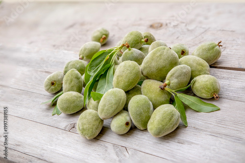 Konstfotografi fresh green almond fruits, harvest spring organic farming, Green young almonds s