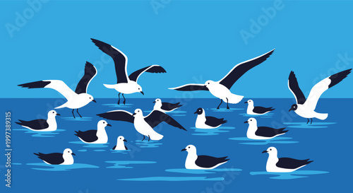 Flock of seagulls on the ocean surface and flying in the blue sky for beautiful coastal nature and marine life scenery.