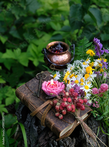 floral candle, copper cauldron, witch book, key, berries, flowers in forest, nature background. botany, study of herbs, plants. Green witch. witchcraft. spiritual esoteric ritual, practical magic