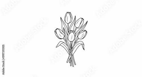 Black and white drawing of a bouquet of tulips