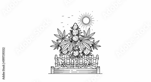 Artistic sketch of a cannabis plant growing under the sun with gardening tools