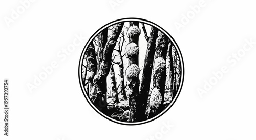 Black and white circular illustration of a dense forest with mossy trees