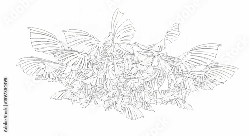 Abstract linework sketch of clustered, fan-like shapes resembling foliage or wings