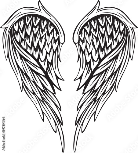 vector illustration of an wing
