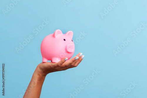 Close up of female hand holding small plastic pig money box on palm for financial concept isolated on blue background