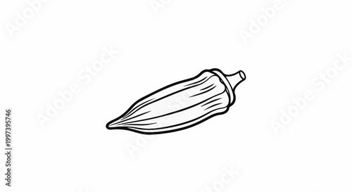Black and white line drawing of an okra pod on a white background