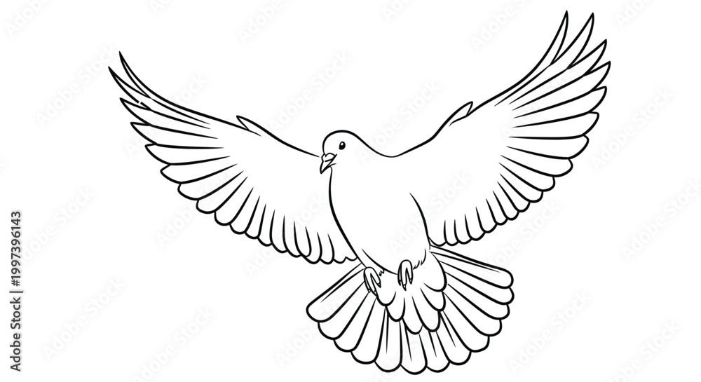 Obraz premium A detailed line drawing depicts a white dove in mid flight with outstretched wings