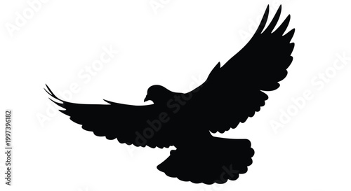 Silhouette of a bird in flight wings spread against a white background