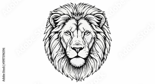 Black and white drawing of a fierce lion's face with a full mane
