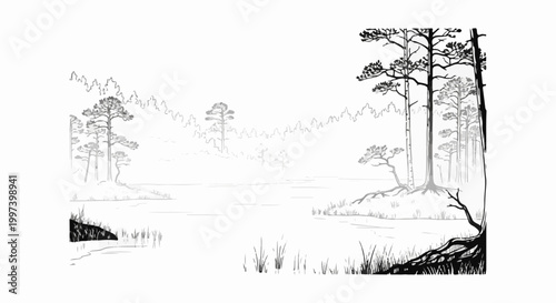Black and white ink drawing of a serene wetland with tall pine trees and calm water