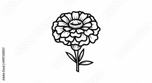 Black and white line art illustration of a blooming zinnia flower