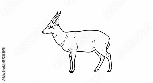 Black and white line art illustration of a graceful antelope with small horns