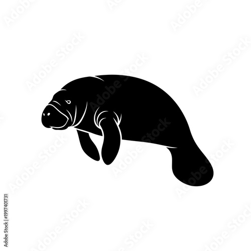 Silhouette of a manatee swimming gracefully in the ocean water.
