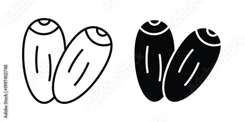 Date fruit icon - vector illustration eps10