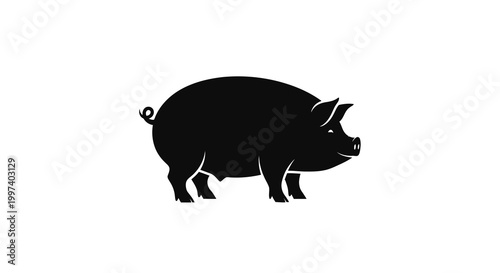 Black pig silhouette on white background