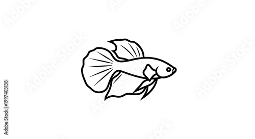 Betta Fish Silhouette: Elegant Siamese Fighting Fish Illustration