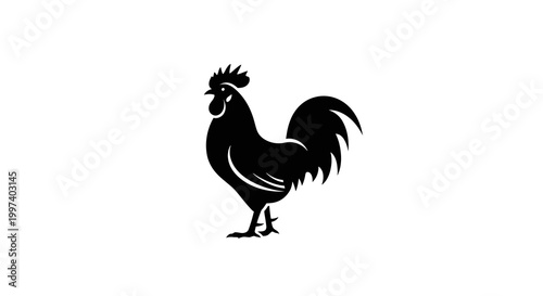Black rooster silhouette on white background
