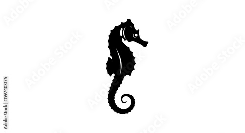 Black Silhouette Seahorse Creature on White Background