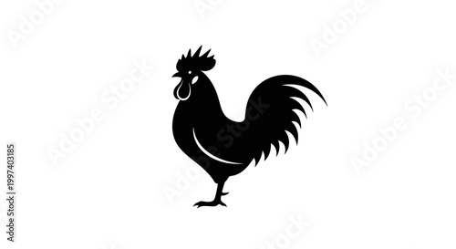 Black Silhouette Rooster Standing Isolated on White Background