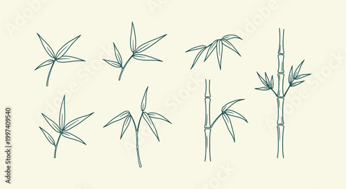 Set of Minimalist Bamboo Leaves and Stems Line Art Illustrations for Botanical Design and Decor