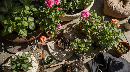 Indoor gardening top view of lush potted plants arranged on table creating vibrant home garden composition