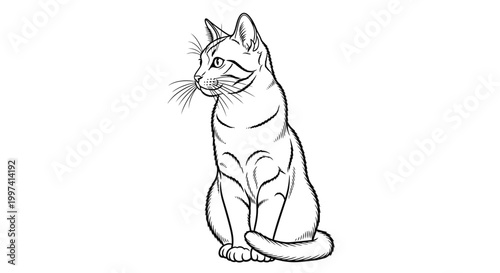 Schilderij op canvas Curious Feline Cat Line Art Drawing Sitting in Profile on Isolated White Backgro