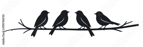 Four birds sitting on a branch silhouette