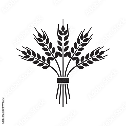 Bundle of wheat sheaf outline icon. Hand drawn line art of grain stalks tied with ribbon vector illustration.
