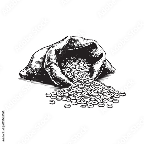 Hand drawn sketch of spilled coffee beans from burlap sack vintage vector illustration
