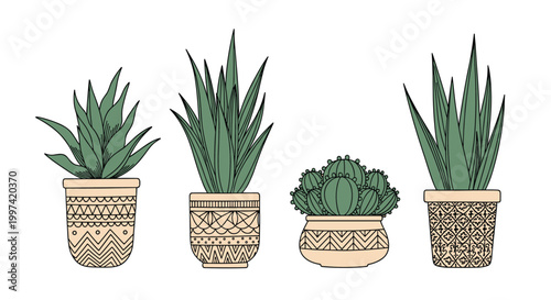 Group of four different succulent and cactus plants in decorative pots with various geometric patterns and textures.