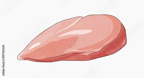 Illustration of a raw chicken breast
