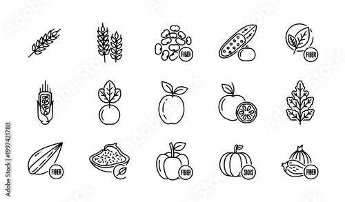 Minimal line high fiber food icon set with digestive health symbols vector collection